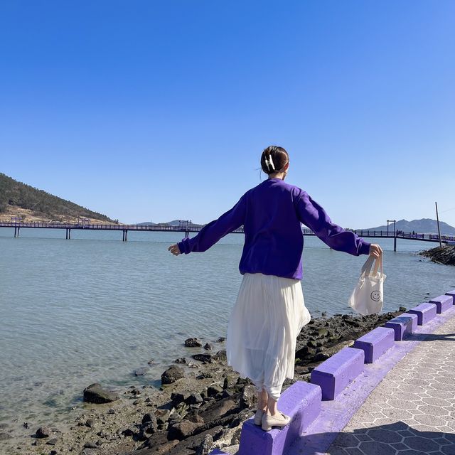 온세상이 보라보라해 💜 신안 핫플 “퍼플섬”🏝️