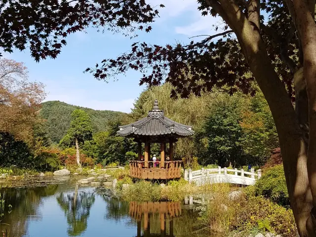 아침고요수목원 🍁단풍놀이 명소