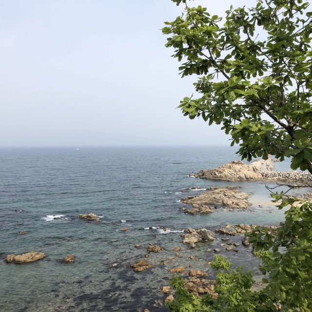 이색적인 절, 해안가 옆에 위치한 낙산사