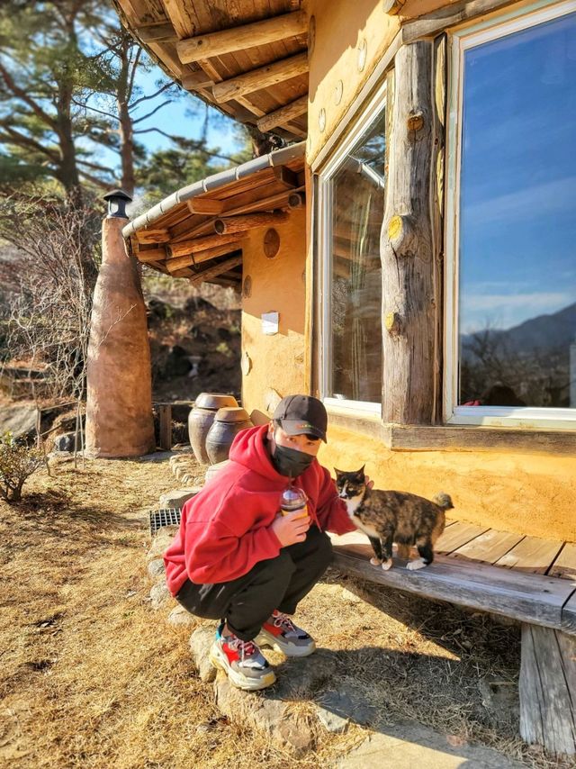 겨울감성 최고봉 황토 버섯집, 하동 지리산흙집풍경🍄