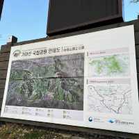 가야산으로 가야해!