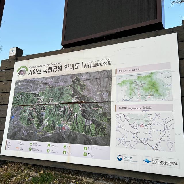 가야산으로 가야해!