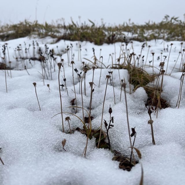 11月的雪山