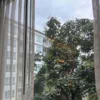 ที่พักติดรถไฟ้า พหลโยธิน ซ.3 