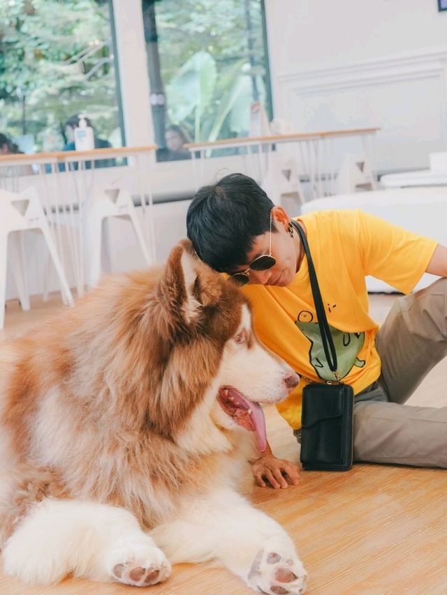 Husky House Cafe ชลบุรี