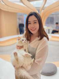 荔枝角全新貓cafe! 貓奴天堂🐈🐱