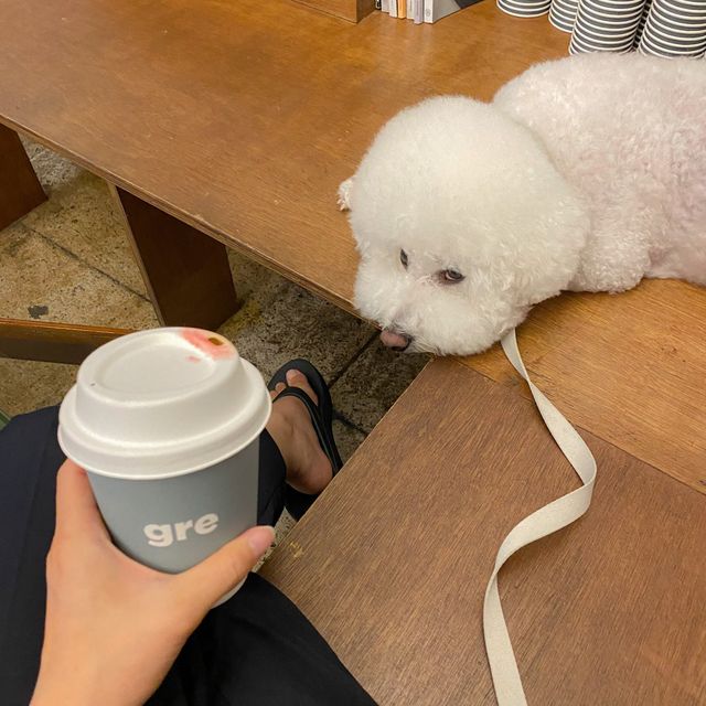 약수 크로플 맛집, 커피그래