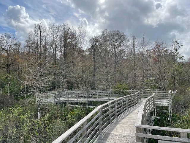Audubon Corkscrew Swamp Sanctuary
