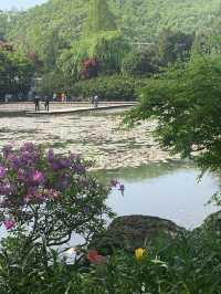파주 데이트코스 추천 :: 벽초지수목원🌼