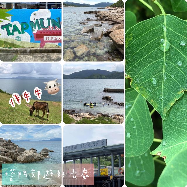 週末放風好去處🤩塔門之旅