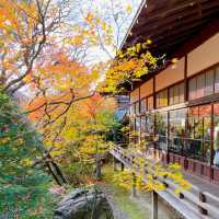 【紅葉巡り】京都ー永観堂