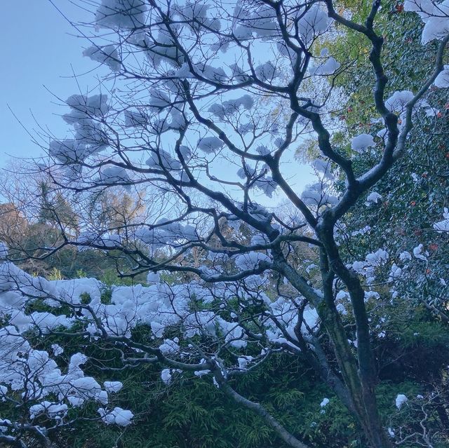 【神奈川県】報国寺