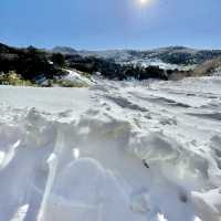 雪の嬬恋村