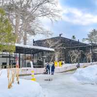 冬の円山動物園・猛禽舎
