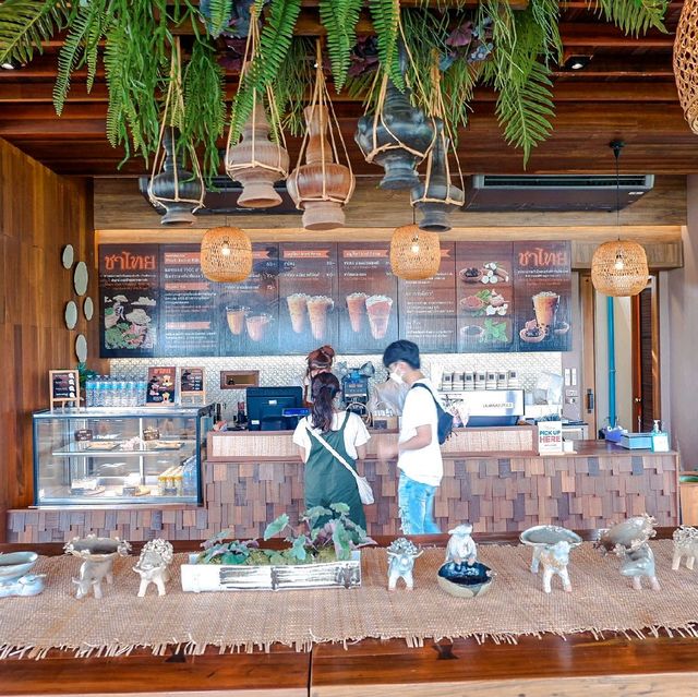 🌱จิบน้ำชา ชมไร่ชา 🌳