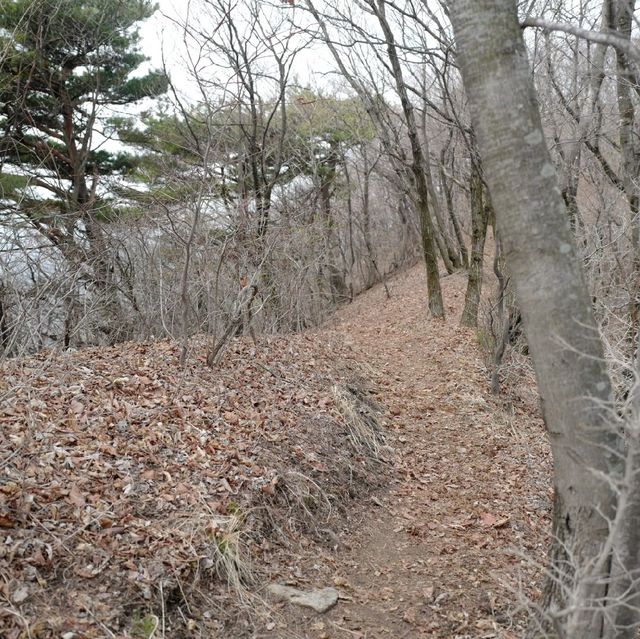 양평 유명산 등산 