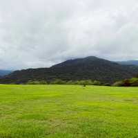 知名熱氣球活動場地｜鹿野高台｜飛行傘讓你在空中翱翔