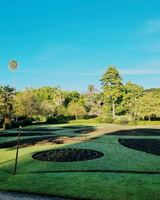 Beautiful City Botanic Gardens Brisbane