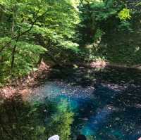 【青森県】世界遺産・白神山地の神秘の池で森林浴！