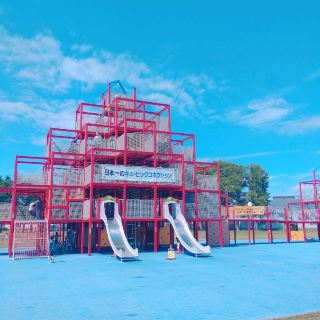 Bell Park Chip Betsu