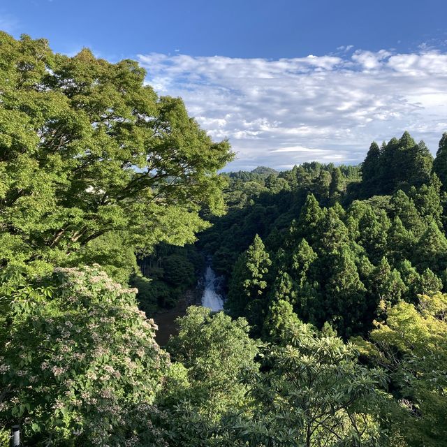 【千葉】マイナスイオンたっぷり! \ 粟又の滝 /
