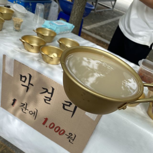 [전라도][영광] 불갑사 상사화 꽃 축제🌺