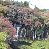 🇯🇵  一次過參觀溫婉和雄偉的兩個瀑布 - 白系の滝と音止の滝