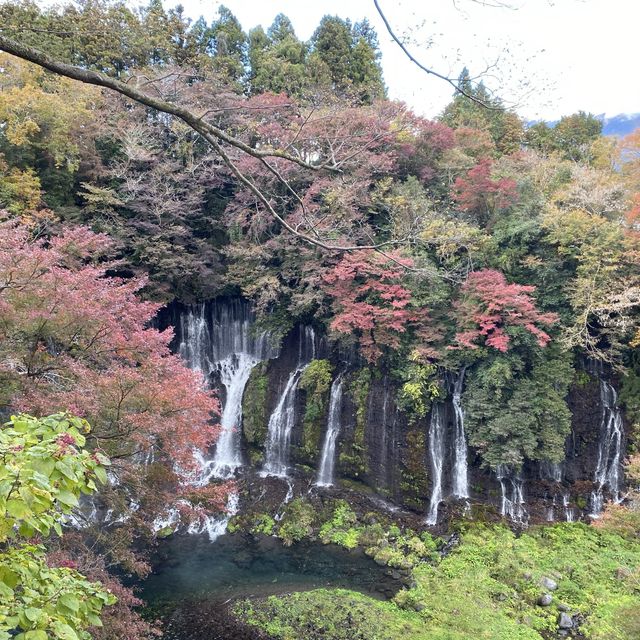 🇯🇵  一次過參觀溫婉和雄偉的兩個瀑布 - 白系の滝と音止の滝