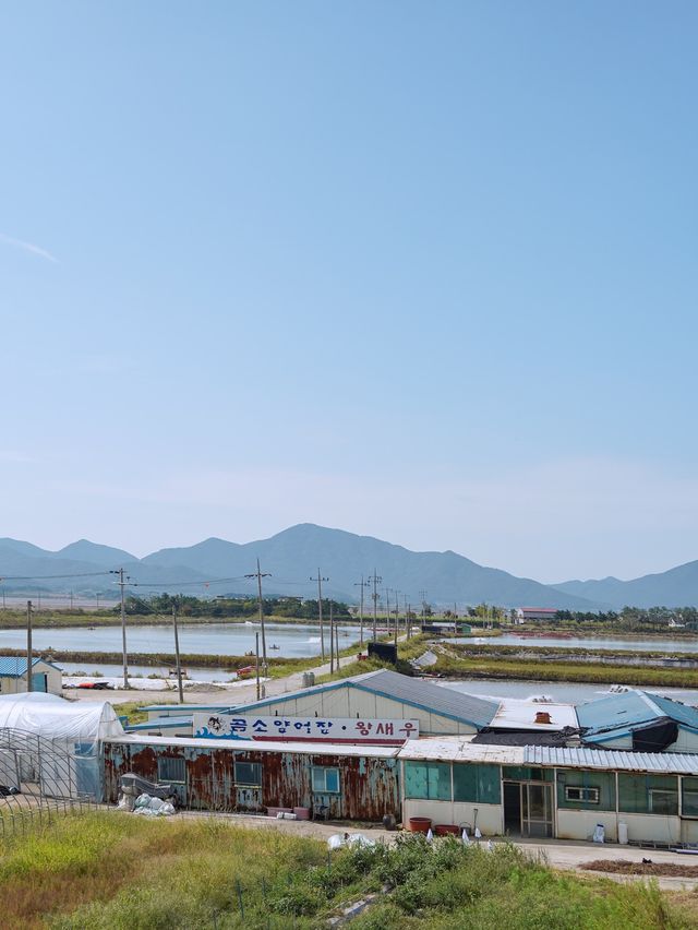 국내 유일 염전 뷰 카페 부안 슬지제빵소