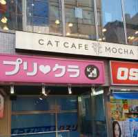 Tokyo| Japan พาไปเดินย่านฮาราจูกุ
