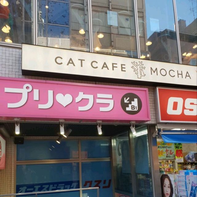 Tokyo| Japan พาไปเดินย่านฮาราจูกุ