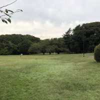 【きぬた公園】