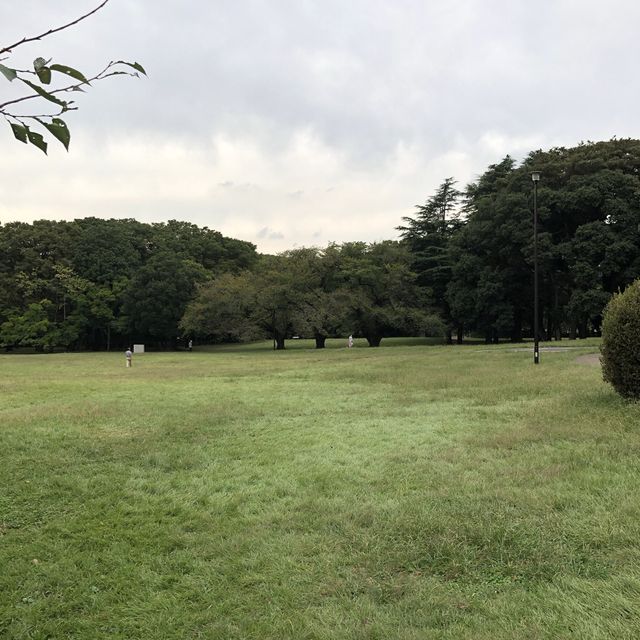 【きぬた公園】 【きぬた公園】