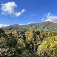【宮城】色づきはじめた紅葉が美しいスポット