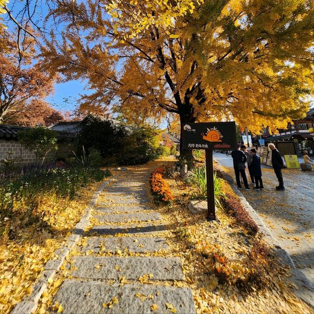 전주 한옥마을의 단풍뷰 아이스크림 카페 '소복'