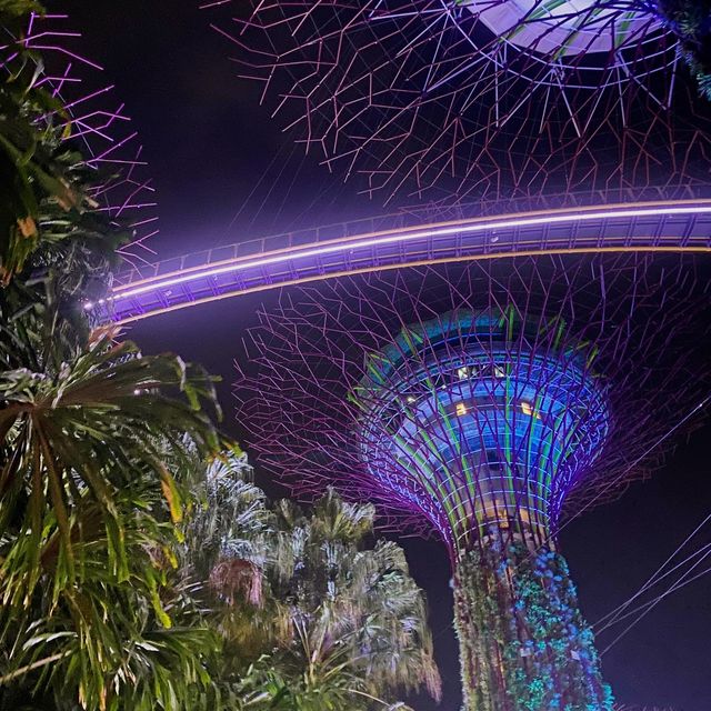 Garden by the bay #Christmas Wonderland