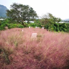 Manor Blanc User Photo