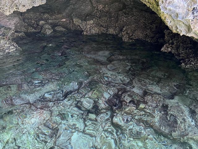 Rottnest Island! Parakeet Bay! 📸😎