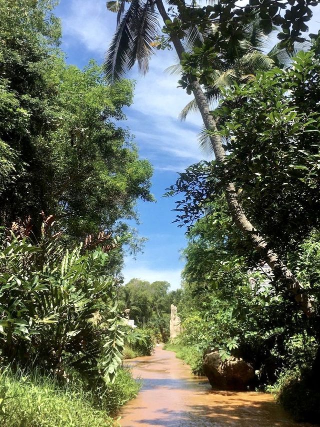 Fairy Stream - Mui Ne, Vietnam