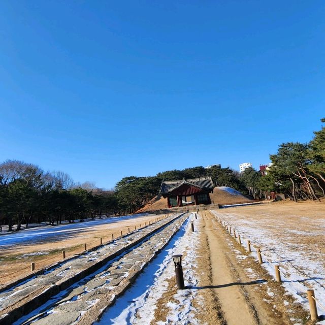 선릉 & 정릉 세계문화유산!