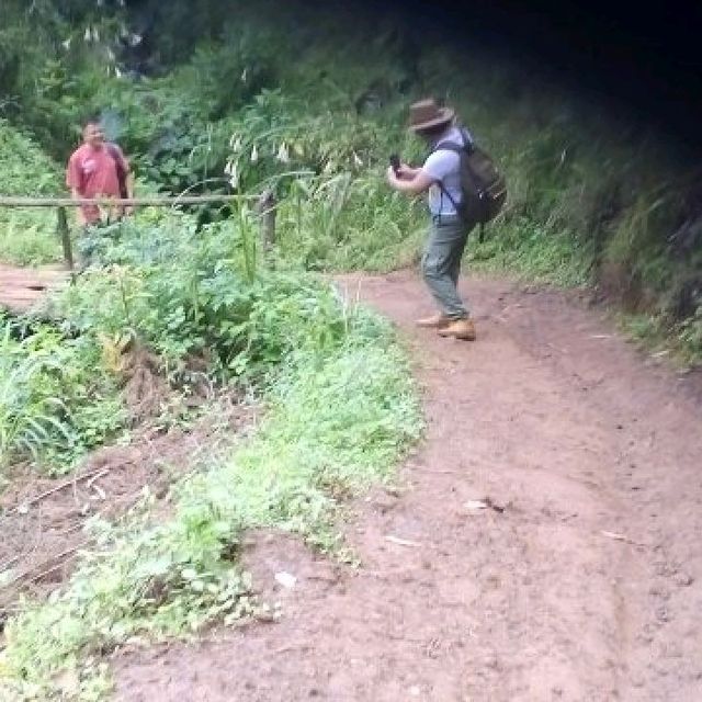 day trip to Materuni waterfall and coffee tou