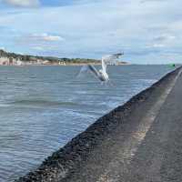 West Kirby-soul chill