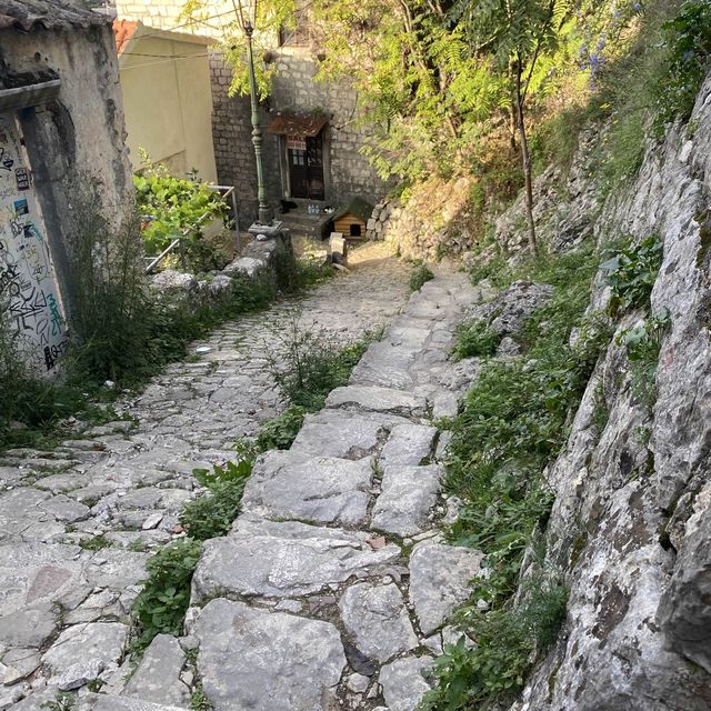 Fortress of St John Kotor