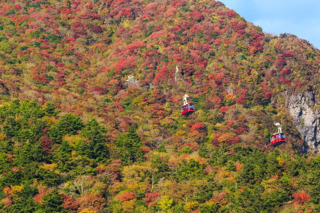 紅色秋山美景 