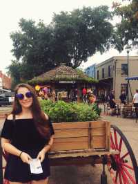 Savannah, Georgia, USA 🇺🇸✈️🌍