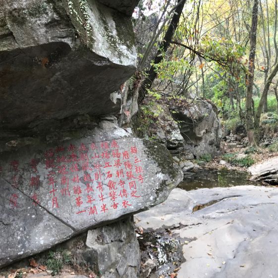 the calligraphy art gallery of past dynasties