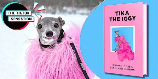 MEET AND GREET: An afternoon with Tika the Iggy! (Coral Gables) | Books & Books