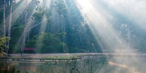 The Poet's Path | Eurobodalla Regional Botanic Garden