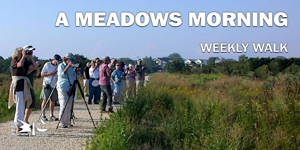 A Meadows Morning | South Cape May Meadows
