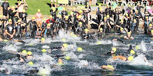 The Coeur d' Alene Crossing 2026- Presented by Parker Subaru | Higgens Point